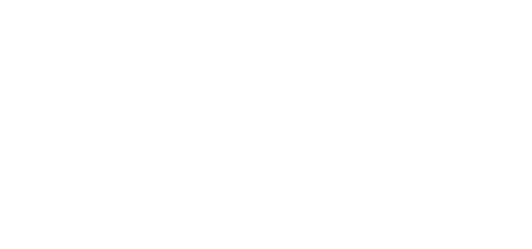 Fuse