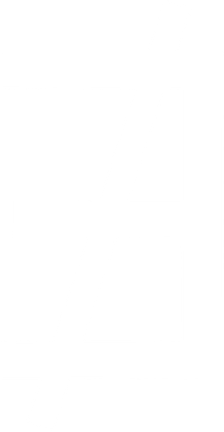K41
