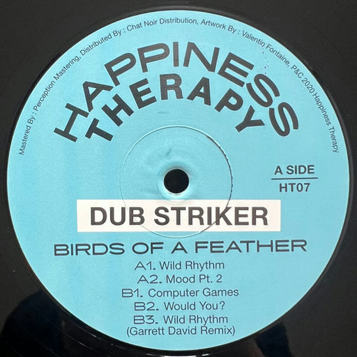 Dub Striker