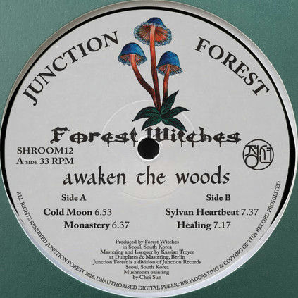 Forest Witches