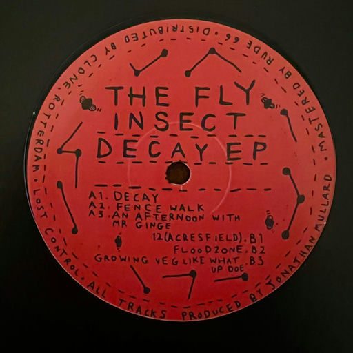 The Fly Insect
