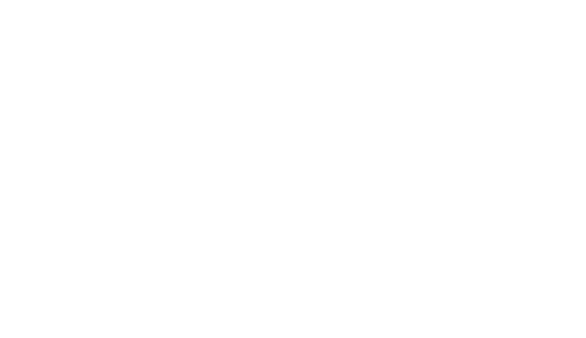 Neptune Discs
