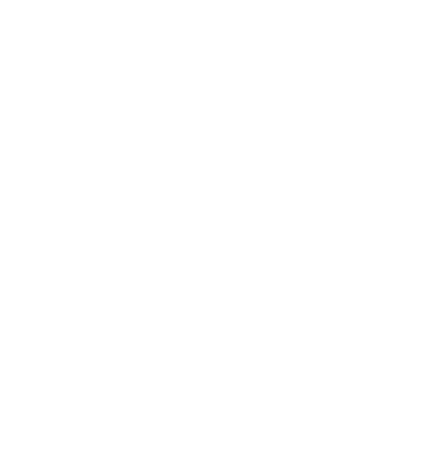 Peach Discs