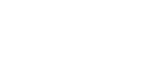 Perlon